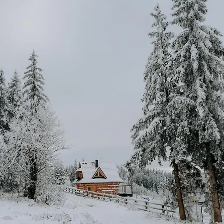 Legenda Lasu - Drewniany W Gorach Z Jacuzzi, Przy Stoku Narciarskim Kotelnica, Bialka Tatrzanska, W Poblizu Term Bania *